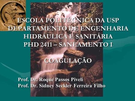 Prof. Dr. Roque Passos Piveli Prof. Dr. Sidney Seckler Ferreira Filho