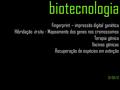 biotecnologia Fingerprint – impressão digital genética