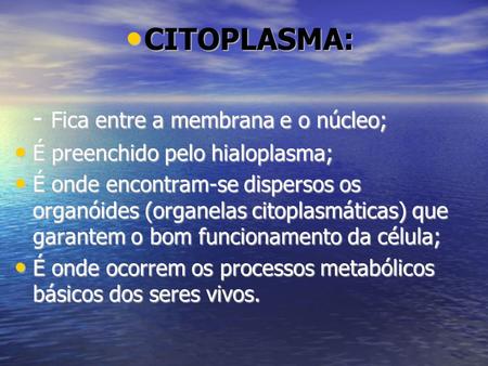 CITOPLASMA: - Fica entre a membrana e o núcleo;
