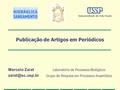 Publicação de Artigos em Periódicos Marcelo Zaiat Laboratório de Processos Biológicos Grupo de Pesquisa em Processos Anaeróbios.