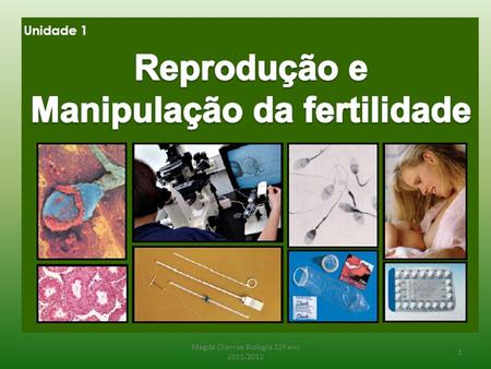 1 Magda Charrua Biologia 12º ano 2011/2012. Como é constituído o sistema reprodutor masculino? Magda Charrua Biologia 12º ano 2011/2012 2.