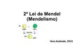 2ª Lei de Mendel (Mendelismo) Vera Andrade, 2015.