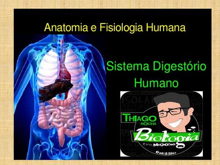 Anatomia do Sistema Digestório