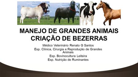MANEJO DE GRANDES ANIMAIS CRIAÇÃO DE BEZERRAS