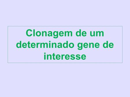 Clonagem de um determinado gene de interesse. Alteração da biossíntese das hemiceluloses e ácidos urônios: consequências para a formação da parede celular.