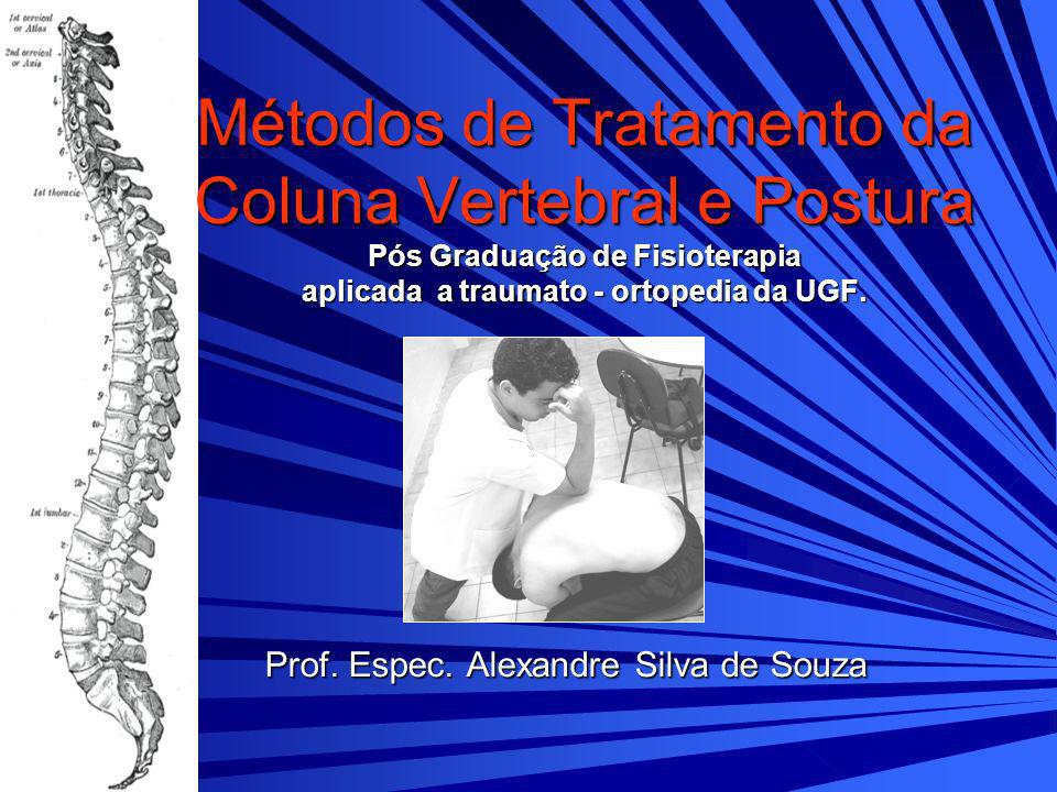 Prof. Espec. Alexandre Silva de Souza - ppt carregar