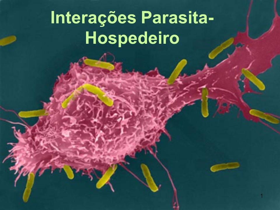 Parazita neurotoxinok Tud férgek adni hőmérsékletet