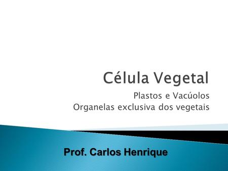 Plastos e Vacúolos Organelas exclusiva dos vegetais