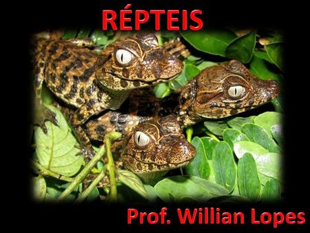 RÉPTEIS Prof. Willian Lopes.