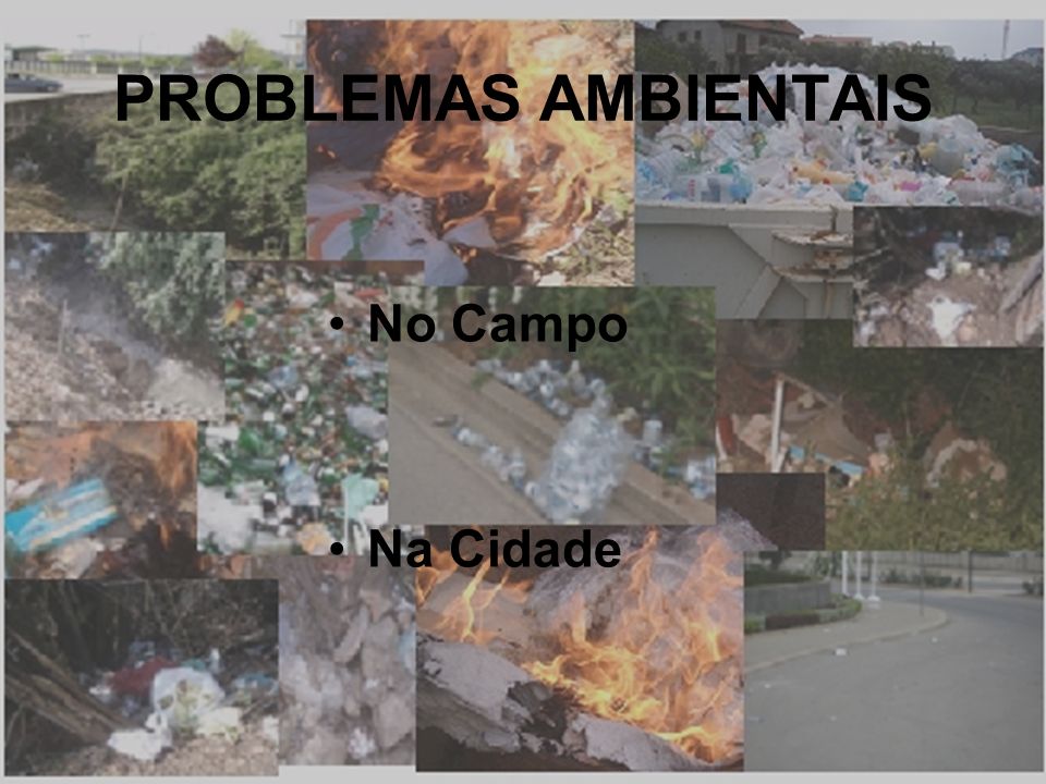 PROBLEMAS AMBIENTAIS No Campo Na Cidade. - ppt video online carregar