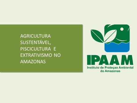 AGRICULTURA SUSTENTÁVEL, PISCICULTURA E EXTRATIVISMO NO AMAZONAS.