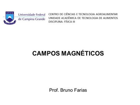 CAMPOS MAGNÉTICOS Prof. Bruno Farias