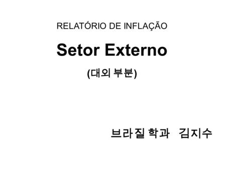 RELATÓRIO DE INFLAÇÃO Setor Externo ( 대외 부분 ) 브라질 학과 김지수.
