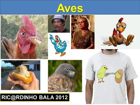 Aves RIC@RDINHO BALA 2012.