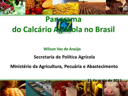 Ministério da Agricultura, Pecuária e Abastecimento Panorama do Calcário Agrícola no Brasil Secretaria de Política Agrícola 31 de maio de 2011 Wilson Vaz.