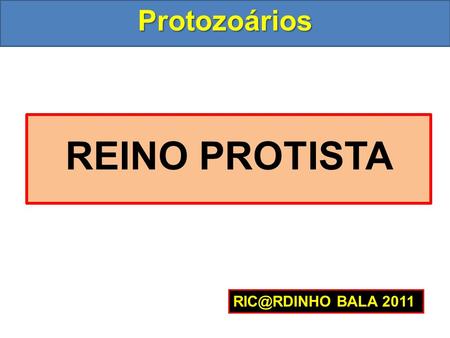 Protozoários BALA 2011 REINO PROTISTA.