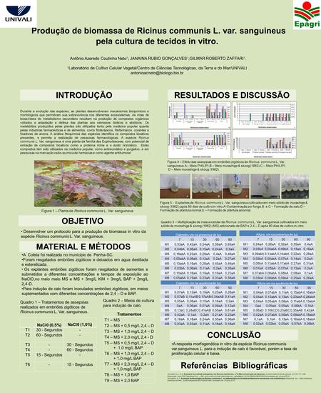 Produção de biomassa de Ricinus communis L. var. sanguineus pela cultura de tecidos in vitro. Antônio Azeredo Coutinho Neto 1 ; JANAINA RUBIO GONÇALVES.