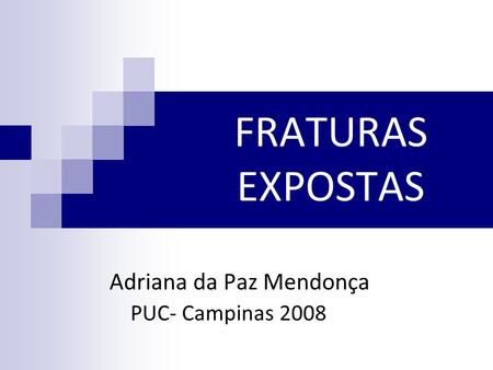 Adriana da Paz Mendonça PUC- Campinas 2008