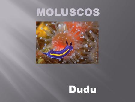 MOLUSCOS Dudu Características gerais: Animais de corpo mole Triblásticos Celomados Bilatérios Geralmente com concha Terrestres ou aquáticos Protostômios.