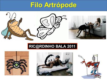 Filo Artrópode RIC@RDINHO BALA 2011.