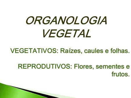 ORGANOLOGIA VEGETAL VEGETATIVOS: Raízes, caules e folhas.