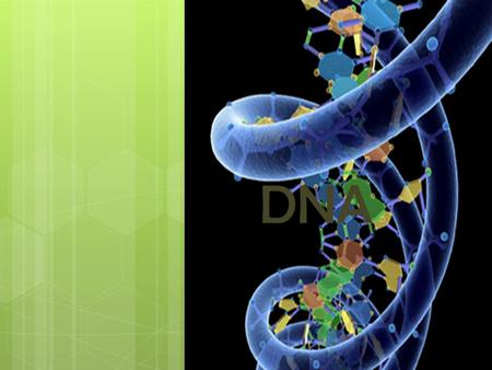 DNA. histórico Pensava-se: proteínas possuíam o material genético. A partir de 1950: ácidos nucléicos possuíam o material genético Nas células procarióticas,