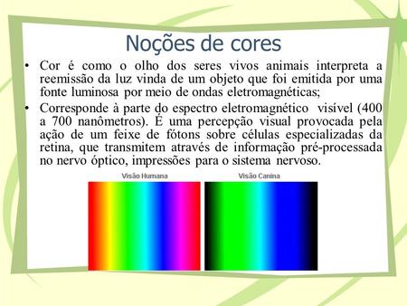 Noções de cores Cor é como o olho dos seres vivos animais interpreta a reemissão da luz vinda de um objeto que foi emitida por uma fonte luminosa por meio.