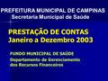 PRESTAÇÃO DE CONTAS Janeiro a Dezembro 2003 FUNDO MUNICIPAL DE SAÚDE Departamento de Gerenciamento dos Recursos Financeiros PREFEITURA MUNICIPAL DE CAMPINAS.