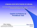 CÂMARA DOS DEPUTADOS DO BRASIL Comissão de Desenvolvimento, Economia, Indústria e Comércio e Comissão de Finanças e Tributação VICE-PRESIDENTE FENASEG.