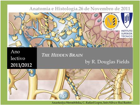 Anatomia e Histologia.26 de Novembro de 2011 Ano lectivo 2011/2012 T HE H IDDEN B RAIN by R. Douglas Fields Anastasiya Strembitska, C. Rafael Lopes, Inês.
