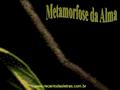 www.recantodasletras.com.br Metamorfose da Alma.