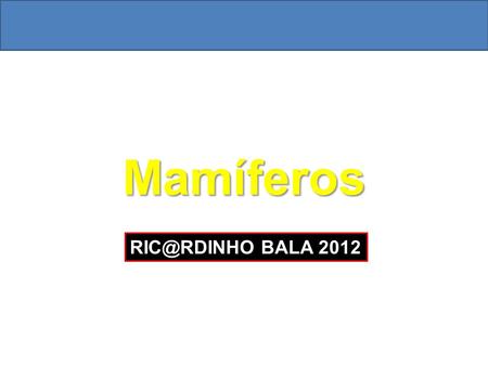 Mamíferos RIC@RDINHO BALA 2012.
