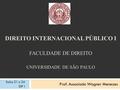 DIREITO INTERNACIONAL PÚBLICO I FACULDADE DE DIREITO UNIVERSIDADE DE SÃO PAULO Prof. Associado Wagner Menezes Salas 21 a 24 DIP I.