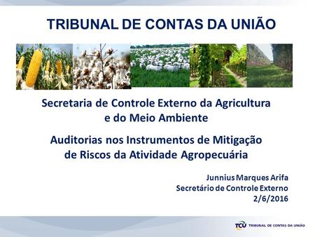 Secretaria de Controle Externo da Agricultura e do Meio Ambiente Auditorias nos Instrumentos de Mitigação de Riscos da Atividade Agropecuária Junnius Marques.