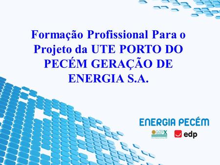 Formação Profissional Para o Projeto da UTE PORTO DO PECÉM GERAÇÃO DE ENERGIA S.A.