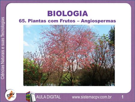 Www.sistemacpv.com.br 1 Ciências Naturais e suas Tecnologias AULA DIGITAL BIOLOGIA 65. Plantas com Frutos – Angiospermas.