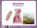 BIOLOGIA 48. Respiração.