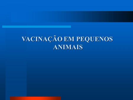VACINAÇÃO EM PEQUENOS ANIMAIS.