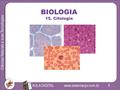 BIOLOGIA 15. Citologia.