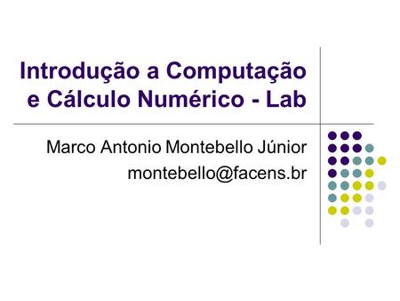 Introdução a Computação e Cálculo Numérico - Lab