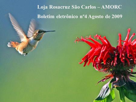 Loja Rosacruz São Carlos – AMORC