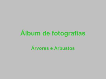 Álbum de fotografias Árvores e Arbustos.