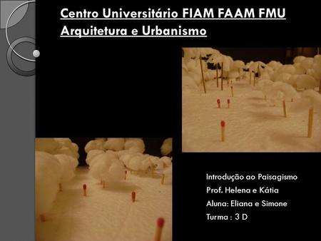 Centro Universitário FIAM FAAM FMU Arquitetura e Urbanismo