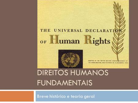 Direitos Humanos Fundamentais