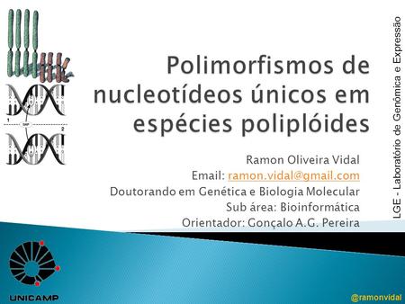 Polimorfismos de nucleotídeos únicos em espécies poliplóides