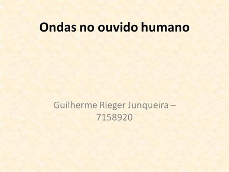 Guilherme Rieger Junqueira –