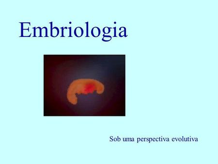 Embriologia Sob uma perspectiva evolutiva.