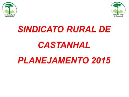 SINDICATO RURAL DE CASTANHAL PLANEJAMENTO 2015. MARÇO  Cartaz - Lay Out  Convite  Out Door  2 Capacitações/SENAR  05/03 Reunião com Sindicato dos.
