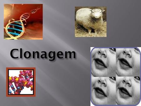 Clonagem Clonagem 1.  Originada da palavra grega Kólon, é basicamente uma forma de reprodução assexuada – indivíduos idênticos ao provedor do DNA. 2.
