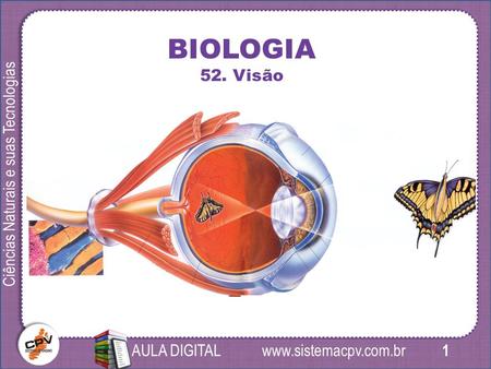 1 Ciências Naturais e suas Tecnologias AULA DIGITAL BIOLOGIA 52. Visão.